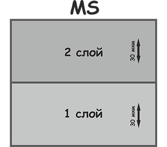 MS