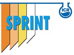 SPRINT