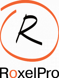RoxelPro